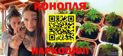 гидра Будённовск