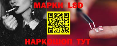 гидра Будённовск