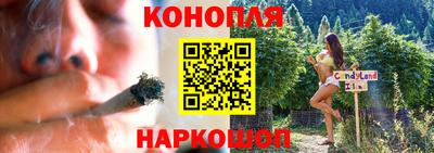 гидра Будённовск