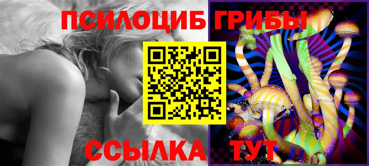 Псилоцибиновые грибы Psilocybine cubensis Красноперекопск